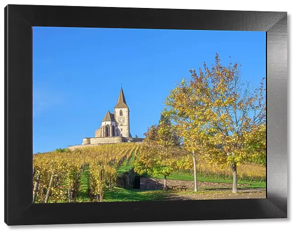 Fortified church of Saint Jacques, Hunawihr, Haut-Rhin, Alsace, Alsace-Champagne-Ardenne-Lorraine, Grand Est, France
