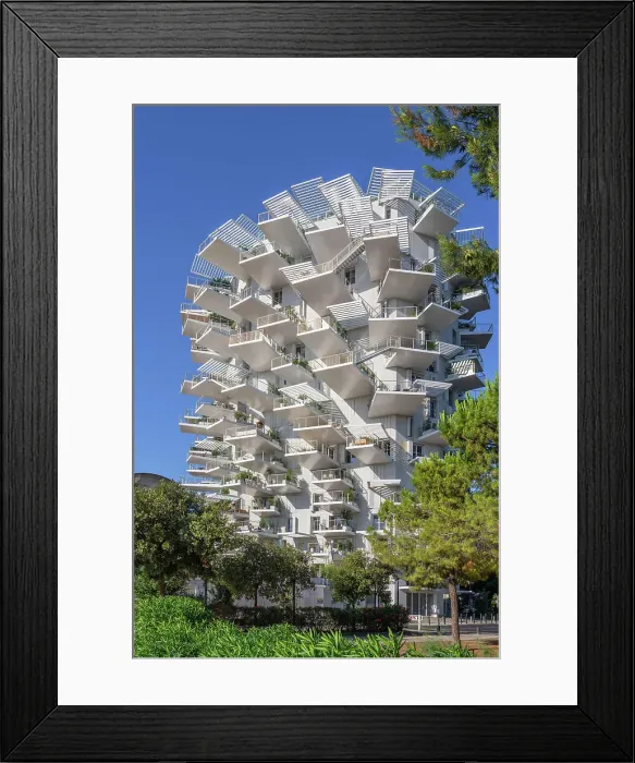 Framed Print : The White Tree at river Lez by architects Sou Fujimoto, OXO, Nicolas Laisne and Dimitri Roussel, Montpellier, Herault, Languedoc-Roussillon, Occitanie, France Framed Print : The White Tree at river Lez by architects Sou Fujimoto, OXO, Nicolas Laisne and Dimitri Roussel, Montpellier, Herault, Languedoc-Roussillon, Occitanie, France