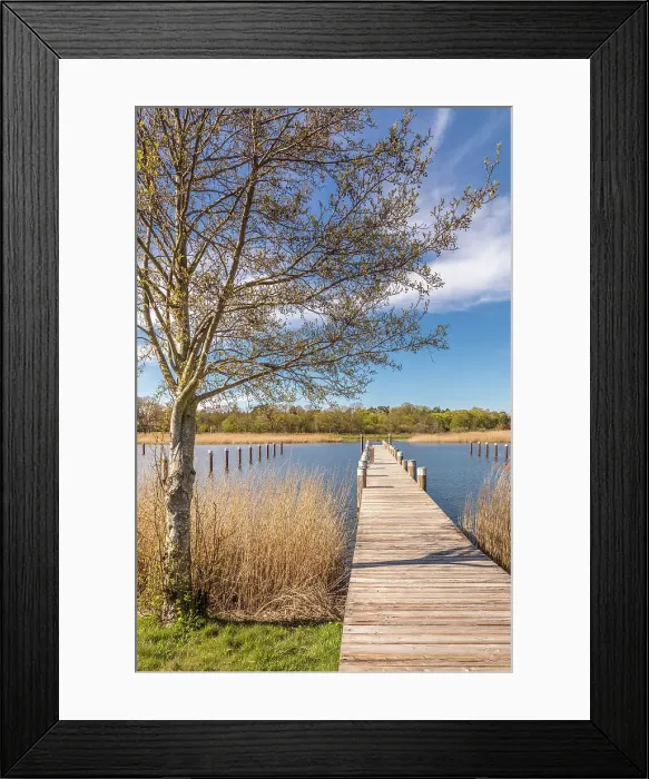 Framed Print : Landing stage in the Bodden harbour of Prerow, Mecklenburg-West Pomerania, North Germany, Germany Framed Print : Landing stage in the Bodden harbour of Prerow, Mecklenburg-West Pomerania, North Germany, Germany