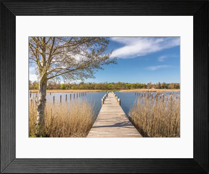 Framed Print : Landing stage in the Bodden harbour of Prerow, Mecklenburg-West Pomerania, North Germany, Germany Framed Print : Landing stage in the Bodden harbour of Prerow, Mecklenburg-West Pomerania, North Germany, Germany