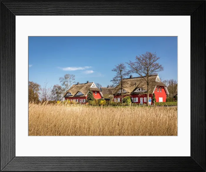 Framed Print : Thatched roof houses on the Bodden near Prerow, Mecklenburg-Western Pomerania, Northern Germany, Germany Framed Print : Thatched roof houses on the Bodden near Prerow, Mecklenburg-Western Pomerania, Northern Germany, Germany