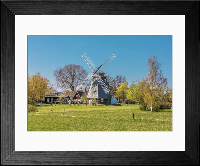 Framed Print : Ahrenshoop windmill, Mecklenburg-West Pomerania, North Germany, Germany Framed Print : Ahrenshoop windmill, Mecklenburg-West Pomerania, North Germany, Germany