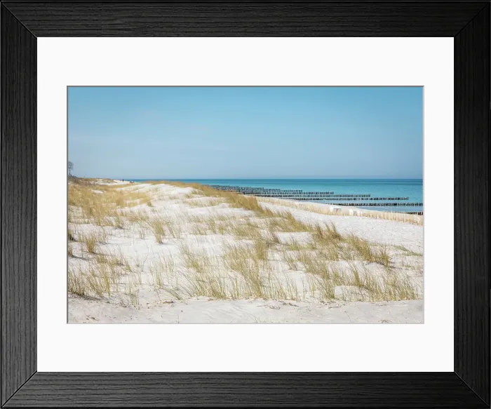 Framed Print : Beach with groynes in Ahrenshoop, Mecklenburg-West Pomerania, North Germany, Germany Framed Print : Beach with groynes in Ahrenshoop, Mecklenburg-West Pomerania, North Germany, Germany
