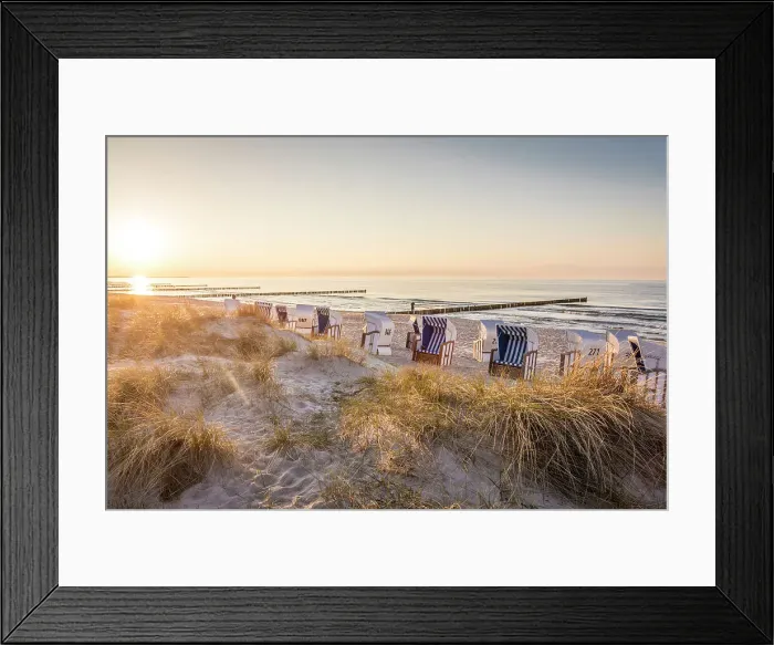 Framed Print : Evening mood with beach chairs on the beach of Zingst, Mecklenburg-Western Pomerania, Northern Germany, Germany Framed Print : Evening mood with beach chairs on the beach of Zingst, Mecklenburg-Western Pomerania, Northern Germany, Germany