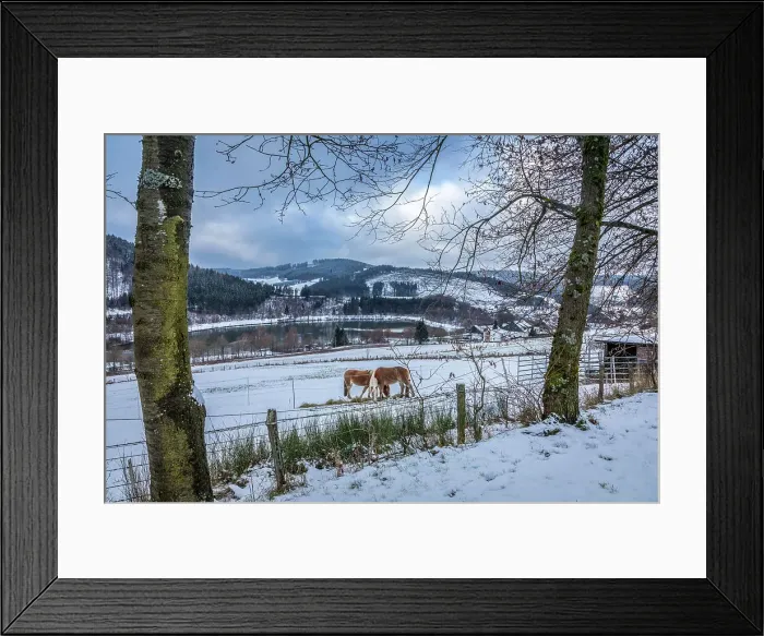 Framed Print : Horses in the pasture above the Hill reservoir near Niedersfeld, Winterberg, Sauerland, North Rhine-Westphalia, Germany Framed Print : Horses in the pasture above the Hill reservoir near Niedersfeld, Winterberg, Sauerland, North Rhine-Westphalia, Germany
