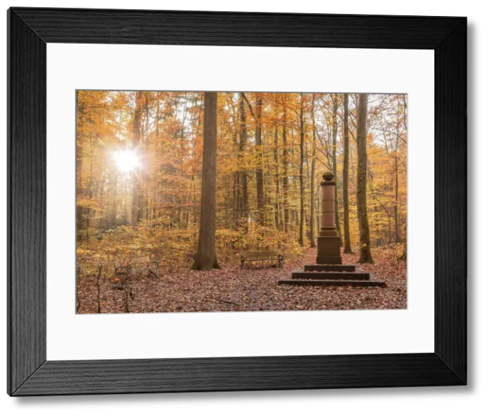 Framed Print : Copy of the Landgrave Column on Kirdorfer Allee (in the Great Tannenwald), Bad Homburg vor der Hohe, Taunus, Hesse, Germany