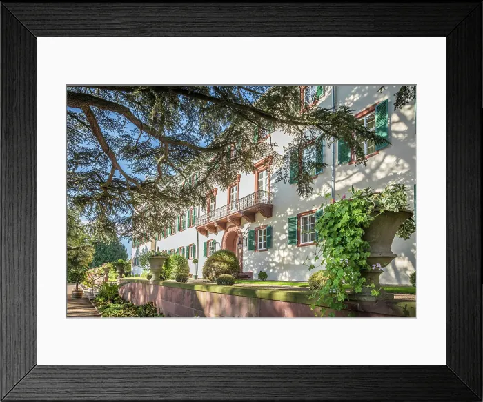Framed Print : Entrance to the castle of Bad Homburg vor der Hohe, on the left the large Atlas cedar, Taunus, Hesse, Germany Framed Print : Entrance to the castle of Bad Homburg vor der Hohe, on the left the large Atlas cedar, Taunus, Hesse, Germany