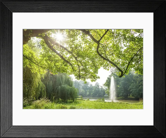 Framed Print : Schwanenteich in the spa gardens of Bad Homburg vor der Hohe, Taunus, Hesse, Germany Framed Print : Schwanenteich in the spa gardens of Bad Homburg vor der Hohe, Taunus, Hesse, Germany
