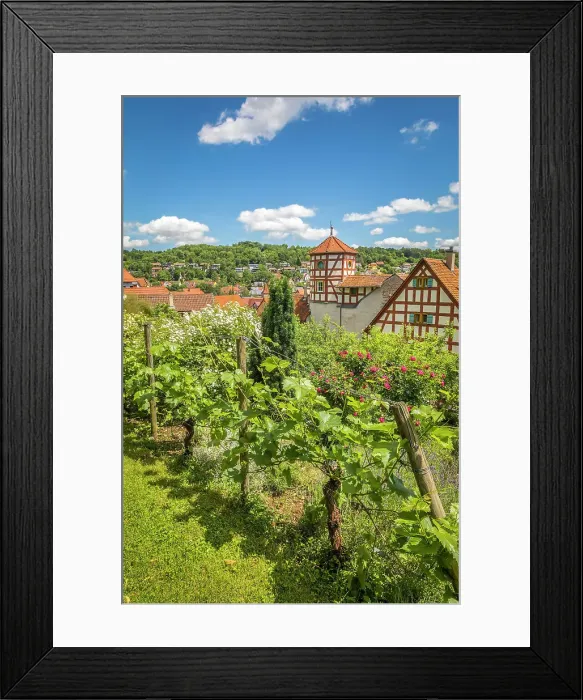 Framed Print : Vineyards and rose garden from the Romschloessle in Creglingen, Romantic Road, Taubertal, Baden-Wurttemberg, Germany Framed Print : Vineyards and rose garden from the Romschloessle in Creglingen, Romantic Road, Taubertal, Baden-Wurttemberg, Germany