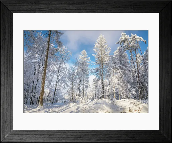 Framed Print : Snowy winter forest in the Rheingau-Taunus Nature Park near Engenhahn, Niedernhausen, Hesse, Germany Framed Print : Snowy winter forest in the Rheingau-Taunus Nature Park near Engenhahn, Niedernhausen, Hesse, Germany