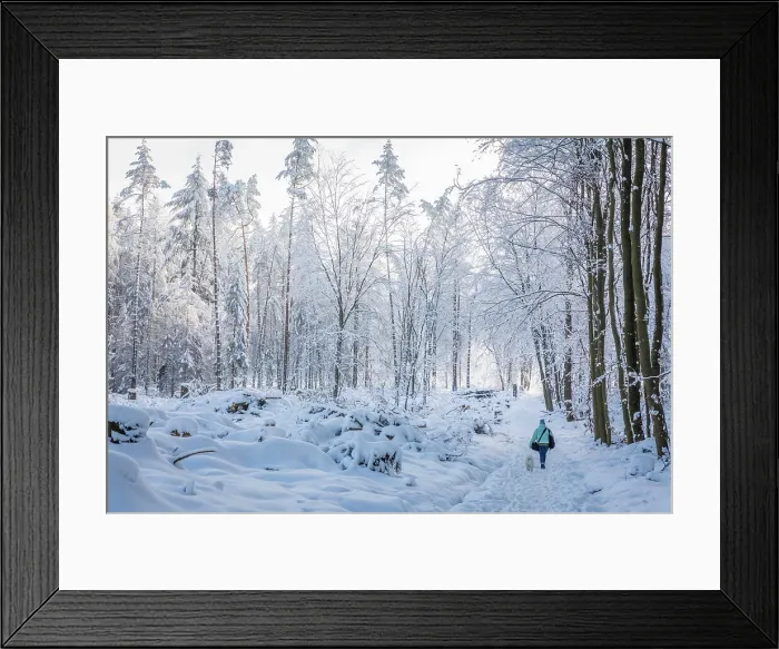 Framed Print : Snow-covered winter forest in the Taunus near Engenhahn, Niedernhausen, Hesse, Germany Framed Print : Snow-covered winter forest in the Taunus near Engenhahn, Niedernhausen, Hesse, Germany