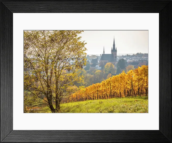 Framed Print : View from the autumnal vineyards on Kiedrich, Rheingau, Hesse, Germany Framed Print : View from the autumnal vineyards on Kiedrich, Rheingau, Hesse, Germany
