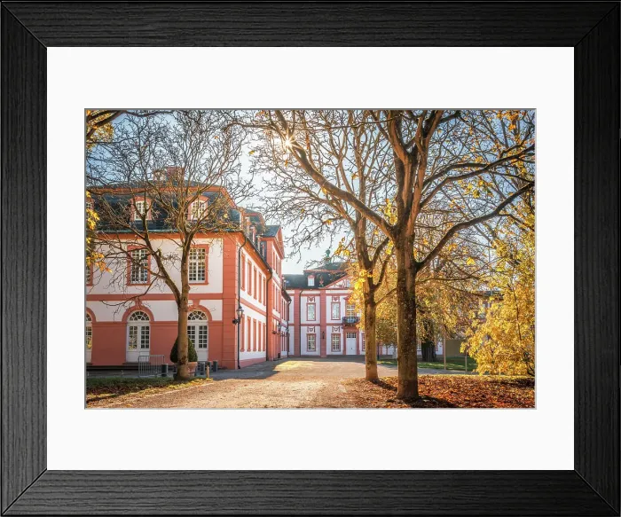 Framed Print : Autumn mood in the palace gardens of Schloss Biebrich, Wiesbaden, Hesse, Germany