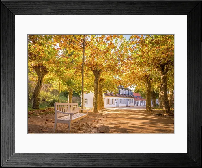 Framed Print : Autumnal avenue in the Furstenlager State Park, Bensheim, Southern Hesse, Hesse, Germany Framed Print : Autumnal avenue in the Furstenlager State Park, Bensheim, Southern Hesse, Hesse, Germany