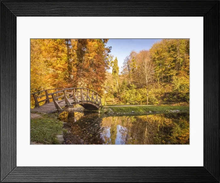 Framed Print : Romantic bridge and pond in the Furstenlager State Park, Bensheim, Southern Hesse, Hesse, Germany Framed Print : Romantic bridge and pond in the Furstenlager State Park, Bensheim, Southern Hesse, Hesse, Germany