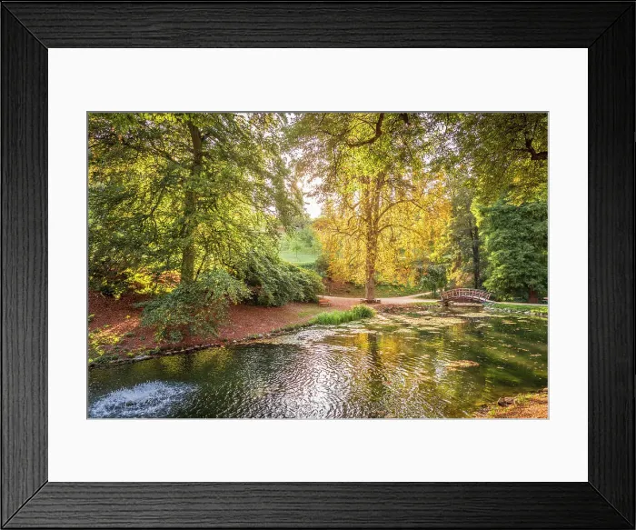 Framed Print : Pond in the Furstenlager State Park, Bensheim, Southern Hesse, Hesse, Germany Framed Print : Pond in the Furstenlager State Park, Bensheim, Southern Hesse, Hesse, Germany
