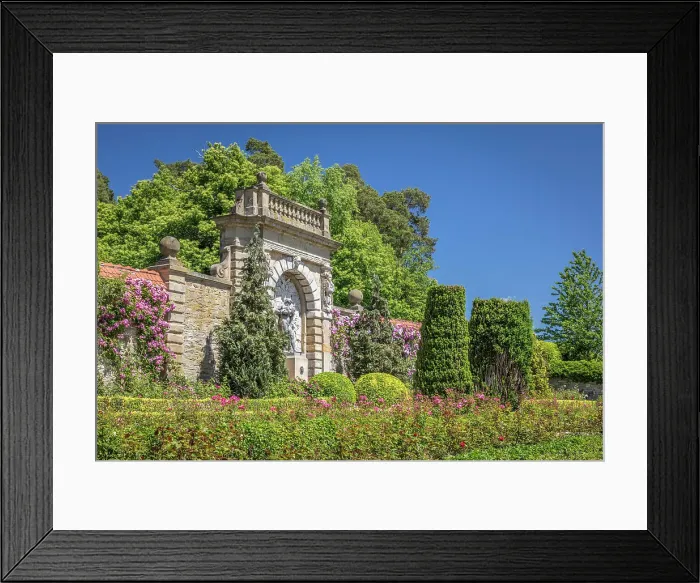 Framed Print : Rose Garden in Kronberg Castle Park, Taunus, Hesse, Germany Framed Print : Rose Garden in Kronberg Castle Park, Taunus, Hesse, Germany