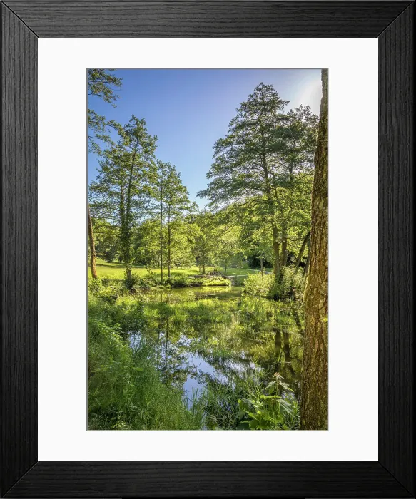 Framed Print : Pond in the spa gardens of Koenigstein, Taunus, Hesse, Germany