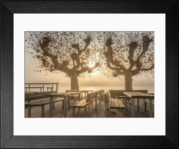 Framed Print : Autumnal morning mist on the banks of the Rhine in Eltville, Rheingau, Hesse, Germany Framed Print : Autumnal morning mist on the banks of the Rhine in Eltville, Rheingau, Hesse, Germany