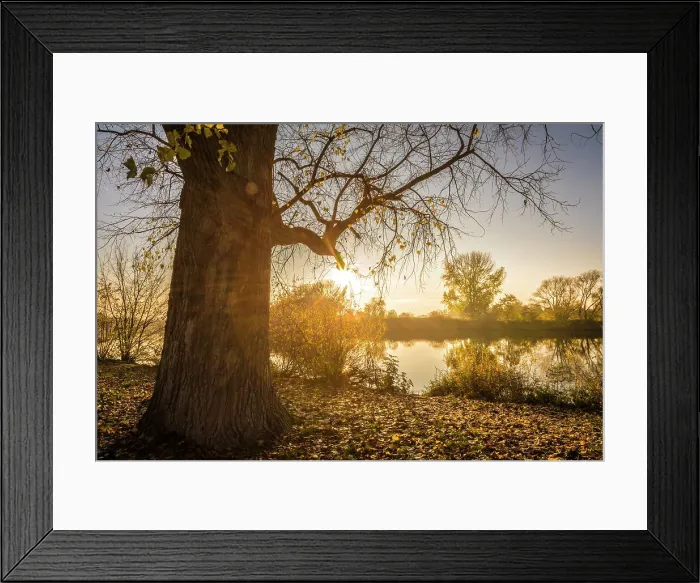 Framed Print : Sunrise in the meads of the river Main near Frankfurt-Hochst, Frankfurt, Hesse, Germany Framed Print : Sunrise in the meads of the river Main near Frankfurt-Hochst, Frankfurt, Hesse, Germany