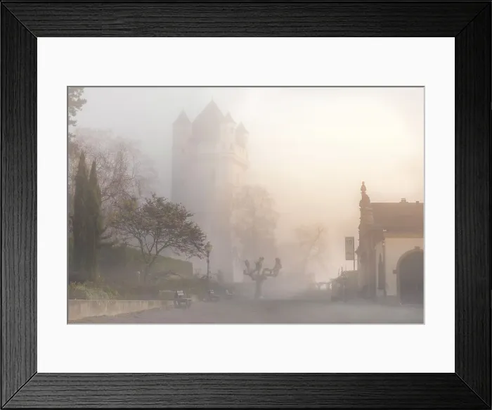 Framed Print : Autumnal morning fog at Eltville Electoral Castle, Rheingau, Hesse, Germany Framed Print : Autumnal morning fog at Eltville Electoral Castle, Rheingau, Hesse, Germany