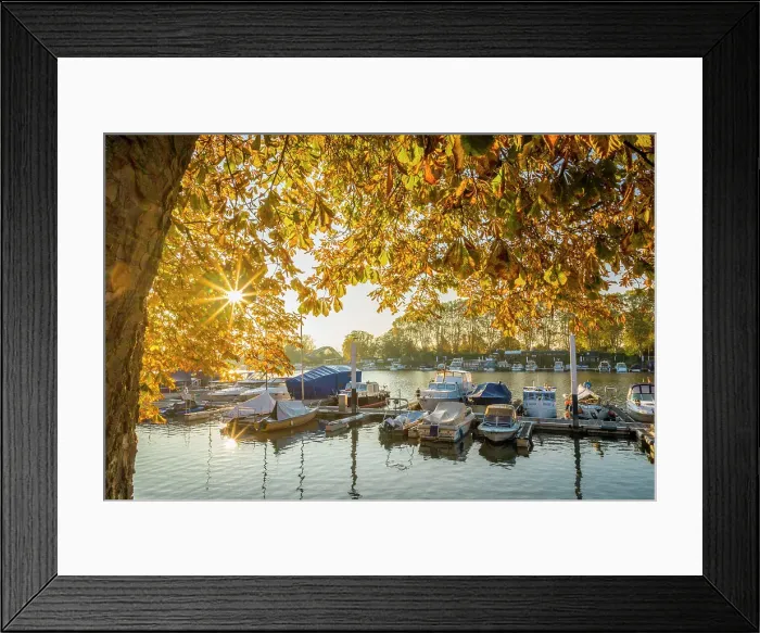 Framed Print : Sunrise in autumn at Schiersteiner Hafen, Wiesbaden, Hesse, Germany Framed Print : Sunrise in autumn at Schiersteiner Hafen, Wiesbaden, Hesse, Germany
