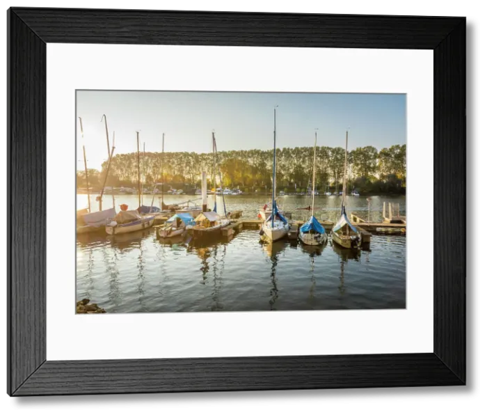 Framed Print : Sailboats in Schiersteiner Hafen, Wiesbaden, Hesse, Germany