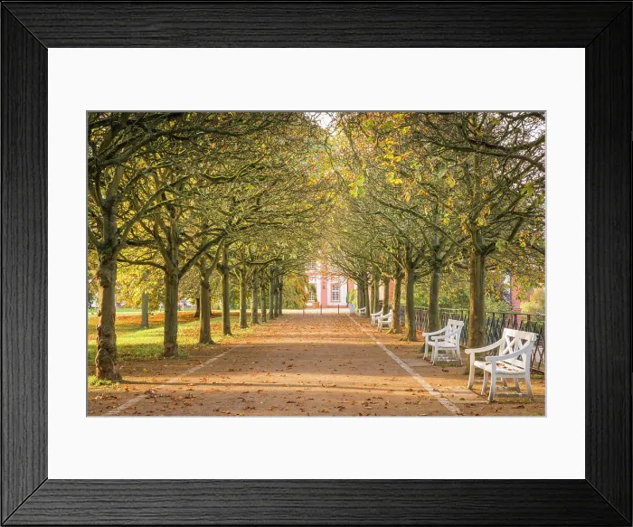 Framed Print : Avenue in autumn at Biebrich Castle, Wiesbaden, Hesse, Germany Framed Print : Avenue in autumn at Biebrich Castle, Wiesbaden, Hesse, Germany