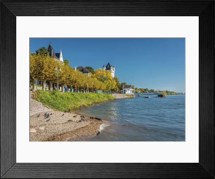 Framed Print : The banks of the Rhine in Eltville with the Electoral Castle, Rheingau, Hesse, Germany Framed Print : The banks of the Rhine in Eltville with the Electoral Castle, Rheingau, Hesse, Germany