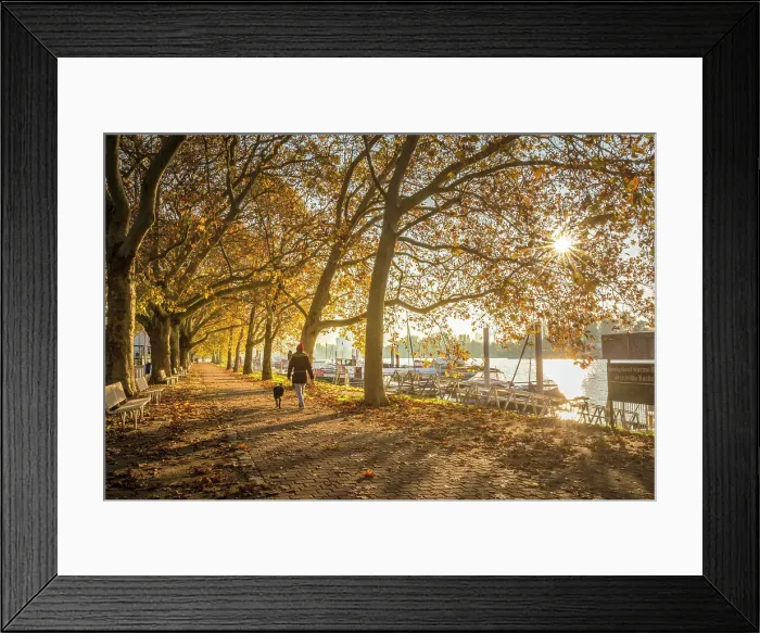 Framed Print : Alley at Schiersteiner Hafen at sunrise, Wiesbaden, Hesse, Germany Framed Print : Alley at Schiersteiner Hafen at sunrise, Wiesbaden, Hesse, Germany