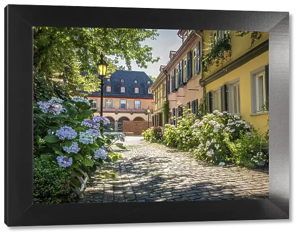 Flower-lined alley in the old town of Frankfurt-Hochst, Frankfurt, Hesse, Germany