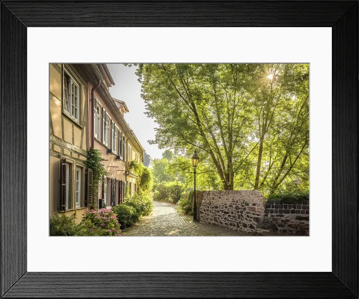Framed Print : Flower-lined alley in the old town of Frankfurt-Hochst, Frankfurt, Hesse, Germany Framed Print : Flower-lined alley in the old town of Frankfurt-Hochst, Frankfurt, Hesse, Germany