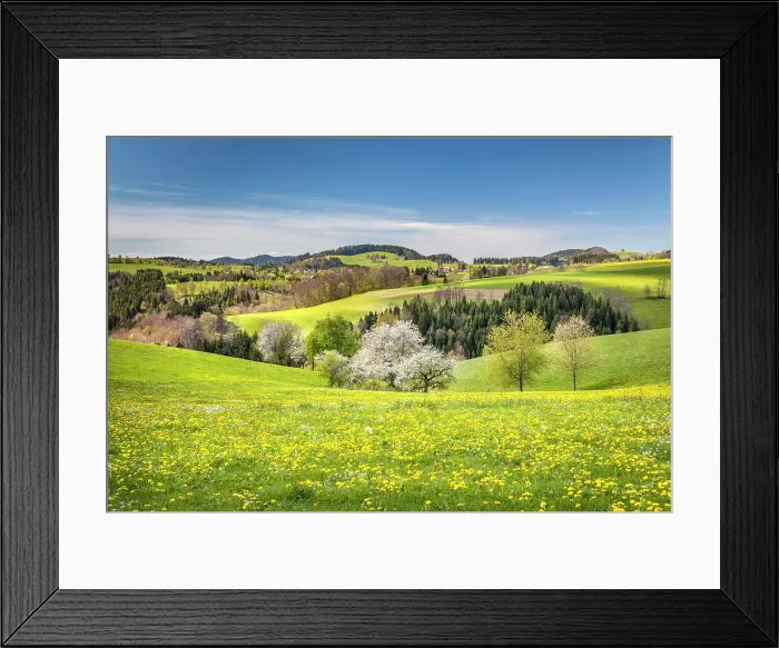 Framed Print : Spring in Glottertal between St. Peter and St. Margen, Black Forest, Baden-Wurttemberg, Germany