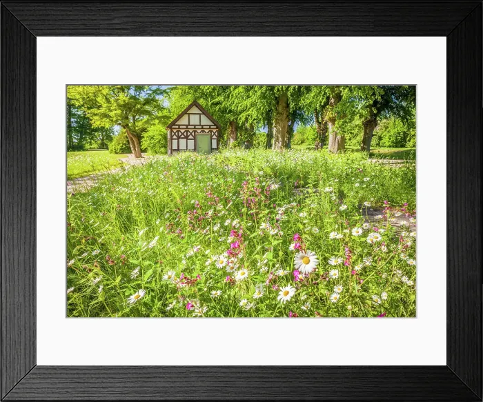 Framed Print : Flower meadow and garden pavilion in the park of Bothmer Castle in Klutz, Mecklenburg-West Pomerania, Baltic Sea, North Germany, Germany Framed Print : Flower meadow and garden pavilion in the park of Bothmer Castle in Klutz, Mecklenburg-West Pomerania, Baltic Sea, North Germany, Germany
