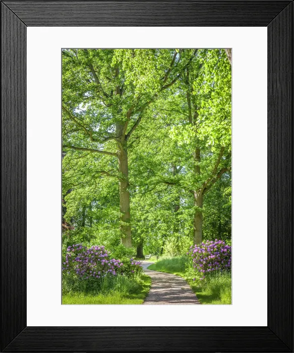 Framed Print : Park of Bothmer Castle in Klutz, Mecklenburg-West Pomerania, North Germany, Germany Framed Print : Park of Bothmer Castle in Klutz, Mecklenburg-West Pomerania, North Germany, Germany