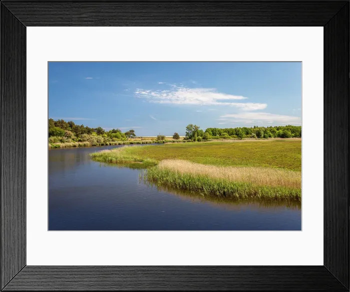 Framed Print : Bodden landscape between Prerow and Zingst, Mecklenburg-Western Pomerania, Baltic Sea, North Germany, Germany Framed Print : Bodden landscape between Prerow and Zingst, Mecklenburg-Western Pomerania, Baltic Sea, North Germany, Germany