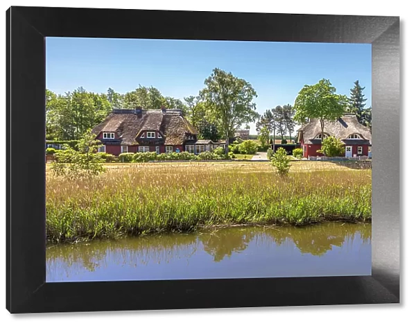 Thatched roof houses at the port of Prerow, Mecklenburg-Western Pomerania, Baltic Sea, Northern Germany, Germany