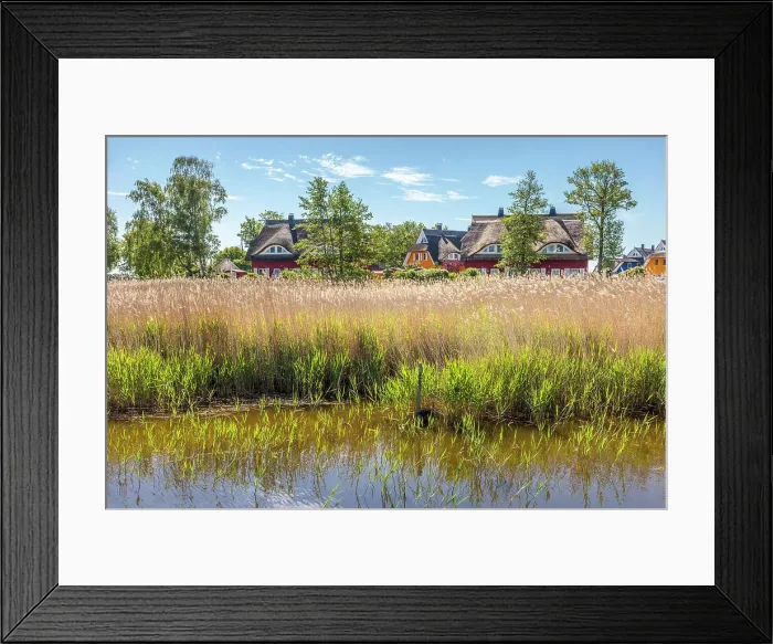 Framed Print : Thatched roof houses at the port of Prerow, Mecklenburg-Western Pomerania, Baltic Sea, Northern Germany, Germany Framed Print : Thatched roof houses at the port of Prerow, Mecklenburg-Western Pomerania, Baltic Sea, Northern Germany, Germany