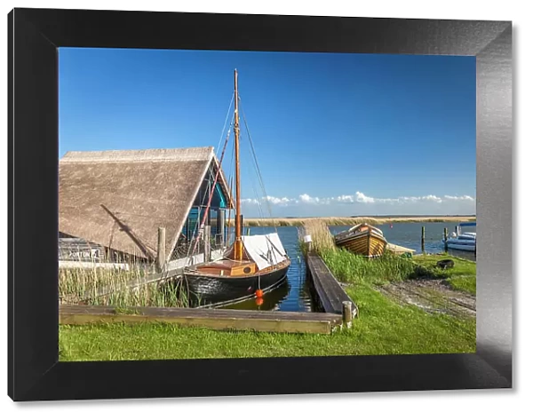 Historical boats in the Bodden harbour of Zingst, Mecklenburg-Western Pomerania, Baltic Sea, Northern Germany, Germany