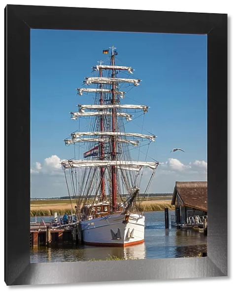 Windjammer in the Bodden harbour of Zingst, Mecklenburg-Western Pomerania, Baltic Sea, North Germany, Germany