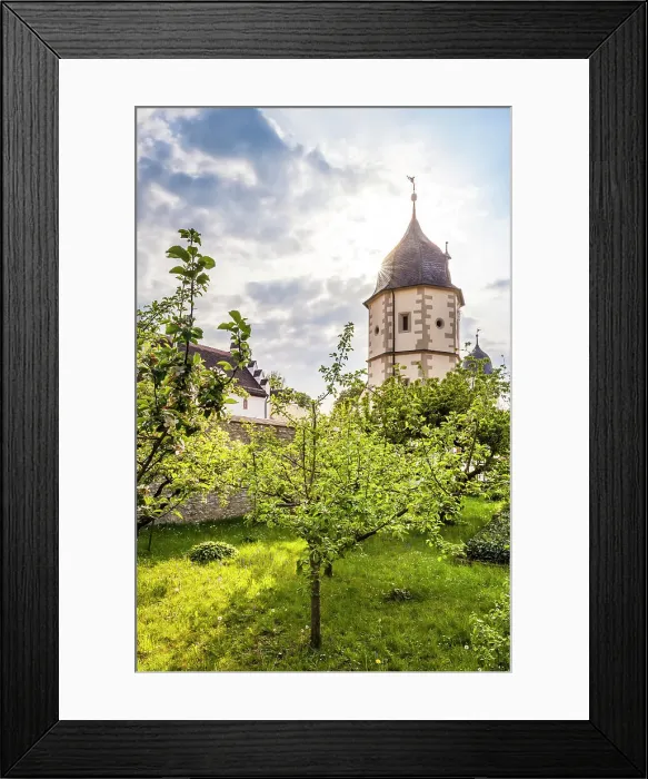 Framed Print : Orchards of Schoental Monastery, Baden-Wurttemberg, Germany
