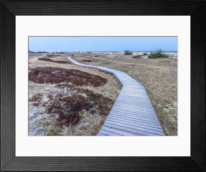 Framed Print : Boardwalk through the sand dunes at Darsser Ort, Mecklenburg-Western Pomerania, Baltic Sea, North Germany, Germany Framed Print : Boardwalk through the sand dunes at Darsser Ort, Mecklenburg-Western Pomerania, Baltic Sea, North Germany, Germany