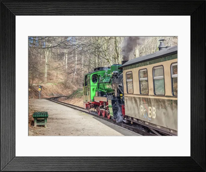 Framed Print : Rugensche BaederBahn Rasender Roland near Sellin, Mecklenburg-West Pomerania, Baltic Sea, North Germany, Germany Framed Print : Rugensche BaederBahn Rasender Roland near Sellin, Mecklenburg-West Pomerania, Baltic Sea, North Germany, Germany
