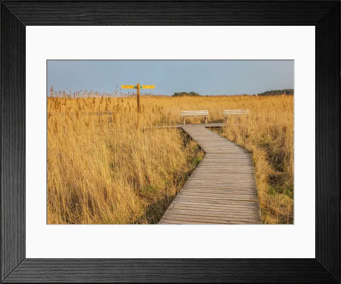 Framed Print : Hiking trail in the Western Pomerania Lagoon Area National Park at Darsser Ort, Mecklenburg-Western Pomerania, Baltic Sea, Northern Germany, Germany Framed Print : Hiking trail in the Western Pomerania Lagoon Area National Park at Darsser Ort, Mecklenburg-Western Pomerania, Baltic Sea, Northern Germany, Germany