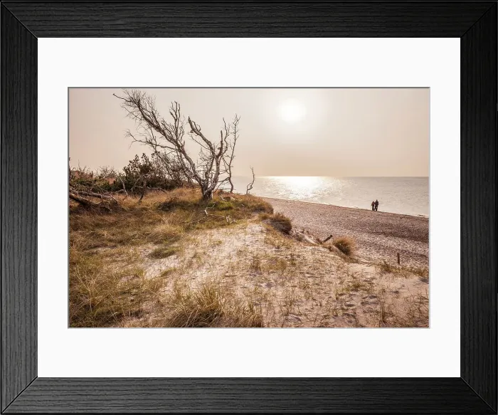 Framed Print : West beach at Darsser Ort, Mecklenburg-West Pomerania, Baltic Sea, North Germany, Germany