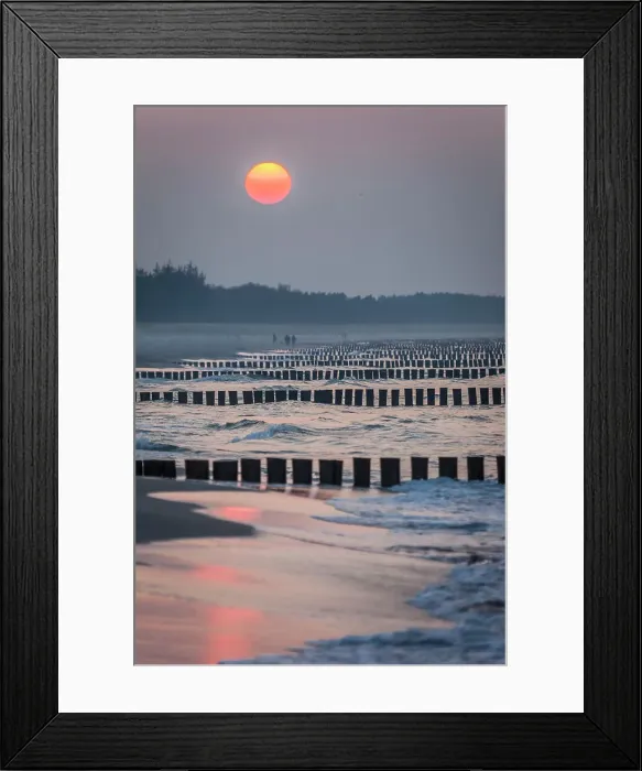 Framed Print : Groynes on the beach of Zingst at sunset, Mecklenburg-Western Pomerania, Baltic Sea, Northern Germany, Germany Framed Print : Groynes on the beach of Zingst at sunset, Mecklenburg-Western Pomerania, Baltic Sea, Northern Germany, Germany