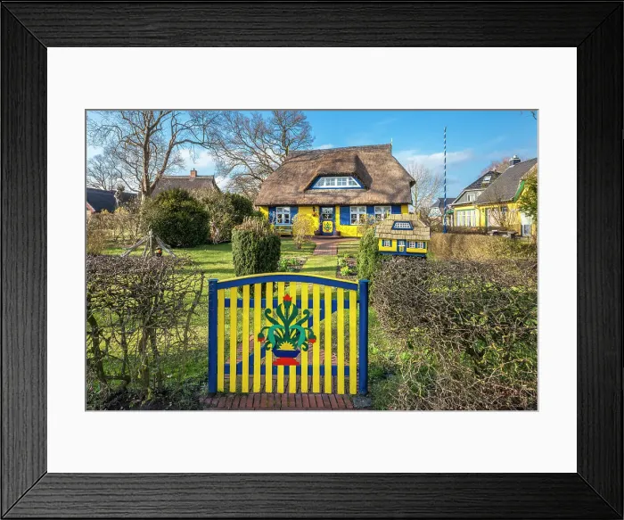 Framed Print : Historical brightly painted thatched roof house in Born am Darsz, Mecklenburg-Western Pomerania, Baltic Sea, Northern Germany, Germany
