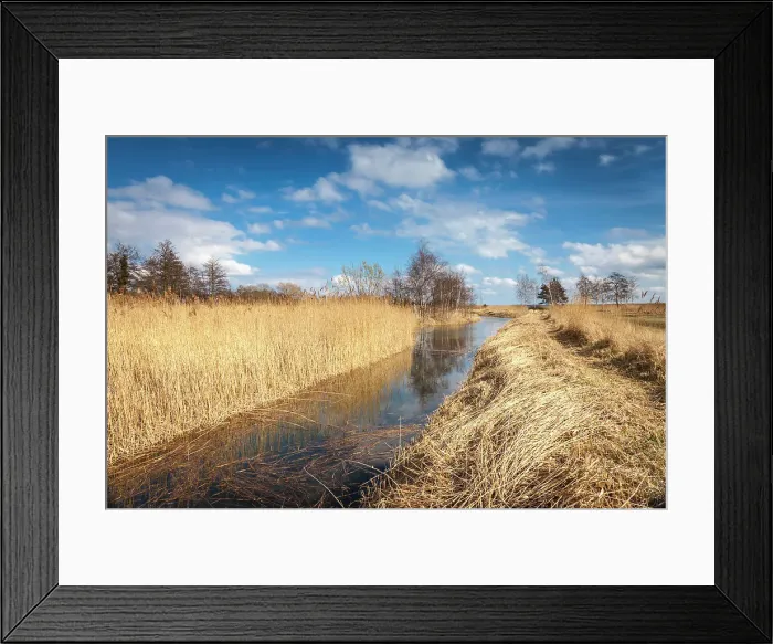 Framed Print : Bodden landscape with thatch near Prerow, Mecklenburg-Western Pomerania, Baltic Sea, Northern Germany, Germany Framed Print : Bodden landscape with thatch near Prerow, Mecklenburg-Western Pomerania, Baltic Sea, Northern Germany, Germany