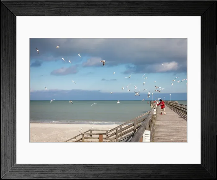 Framed Print : Woman feeding seagulls on the pier in Prerow, Mecklenburg-Western Pomerania, Baltic Sea, Northern Germany, Germany