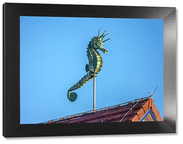 Seahorse figure on the roof of the Kurhaus in Zingst, Mecklenburg-Western Pomerania, Baltic Sea, Northern Germany, Germany